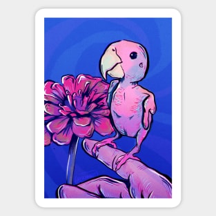 Birb Sticker